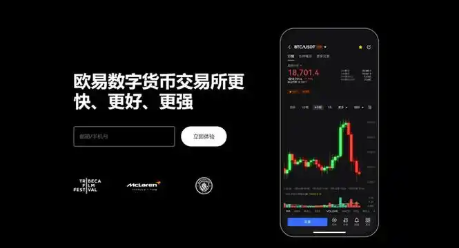 okpay下载安装苹果页面展示